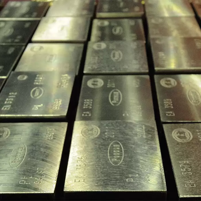 Pooled Bullion & Other Pool Allocated Platinum Bullion : 1oz